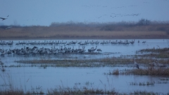 LES GARGATTES SE DECOUVRENT EN HIVER